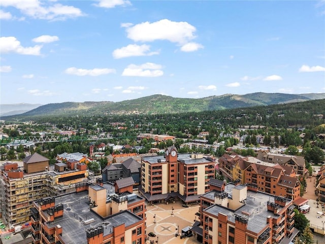 645 S Park Ave Unit 305, Breckenridge, CO 80424 - photo 28