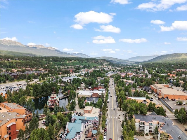645 S Park Ave Unit 305, Breckenridge, CO 80424 - photo 27