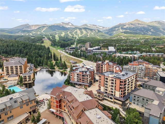 645 S Park Ave Unit 305, Breckenridge, CO 80424 - photo 6