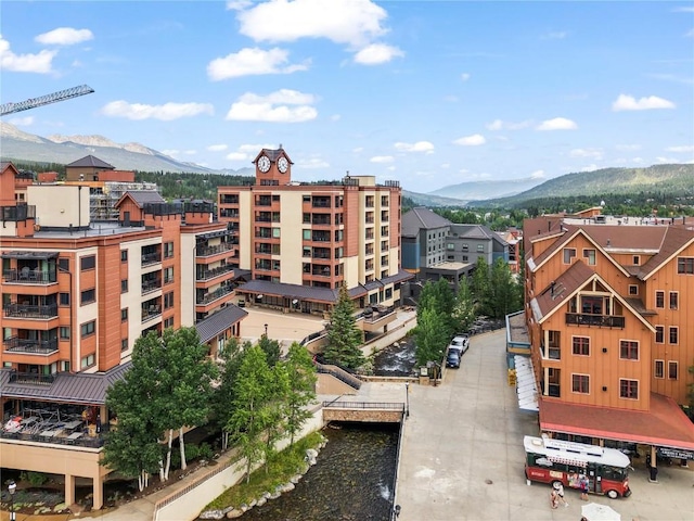 645 S Park Ave Unit 305, Breckenridge, CO 80424 - photo 7