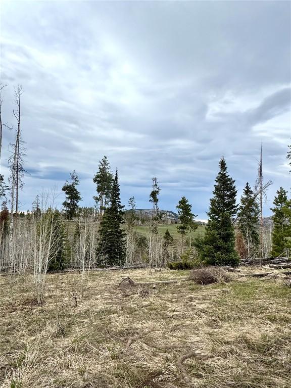 TBD Rein Way, Oak Creek, CO 80467 - photo 1