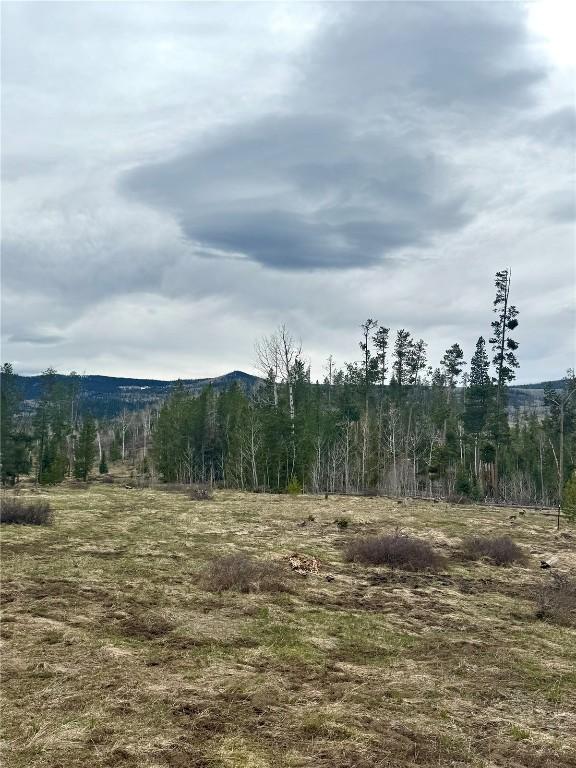 TBD Rein Way, Oak Creek, CO 80467 - photo 3