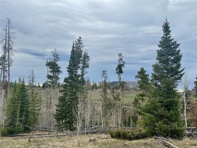 TBD Rein Way, Oak Creek, CO 80467 - photo 5