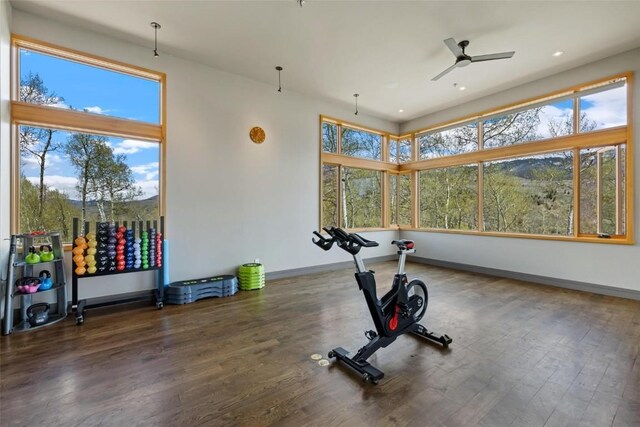 11 Glazer Trl, Silverthorne, CO 80498 - exercise area featuring baseboards, a ceiling fan, and wood finished floors