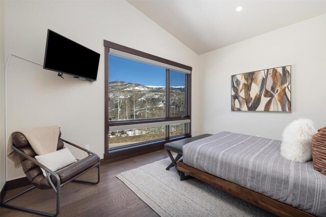 11 Glazer Trl, Silverthorne, CO 80498 - bedroom featuring lofted ceiling and wood finished floors