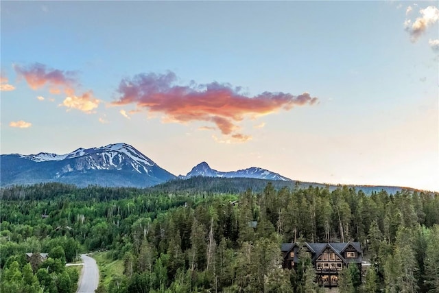 245 Easy Bend Trl, Silverthorne, CO 80498 - photo 39