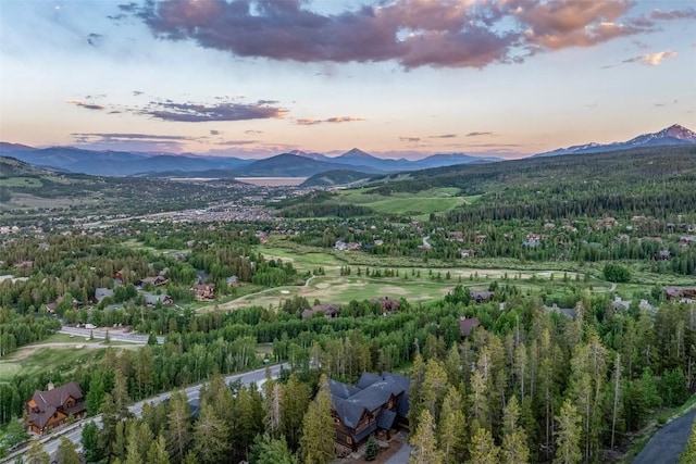 245 Easy Bend Trl, Silverthorne, CO 80498 - photo 38