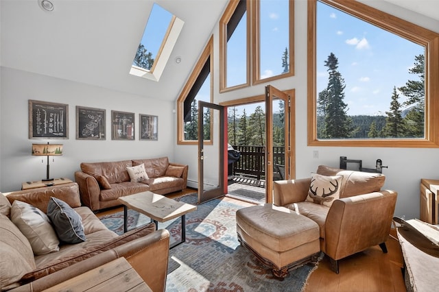773 Range Rd, Breckenridge, CO 80424 - living room with a skylight, wood finished floors, and high vaulted ceiling