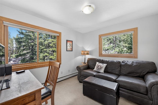 773 Range Rd, Breckenridge, CO 80424 - living room with healthy amount of natural light and light carpet