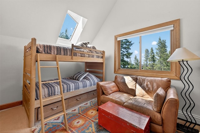773 Range Rd, Breckenridge, CO 80424 - bedroom featuring vaulted ceiling, a baseboard heating unit, and a skylight