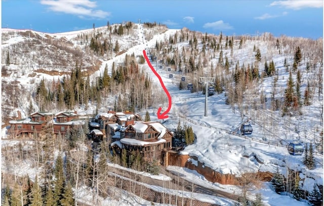 2542 Ski Trail Ln, Steamboat Springs, CO 80487 - photo 2