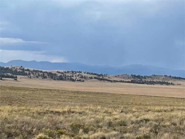 14171 Chickasaw Rd, Hartsel, CO 80449 - photo 8