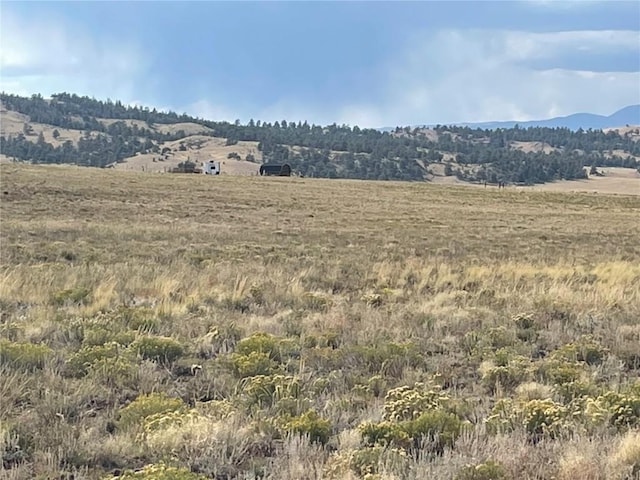 14171 Chickasaw Rd, Hartsel, CO 80449 - photo 1