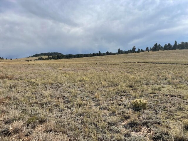 14171 Chickasaw Rd, Hartsel, CO 80449 - photo 12