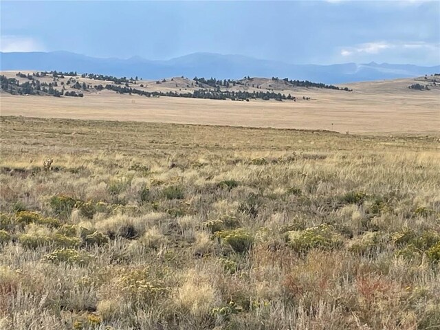 14171 Chickasaw Rd, Hartsel, CO 80449 - photo 6