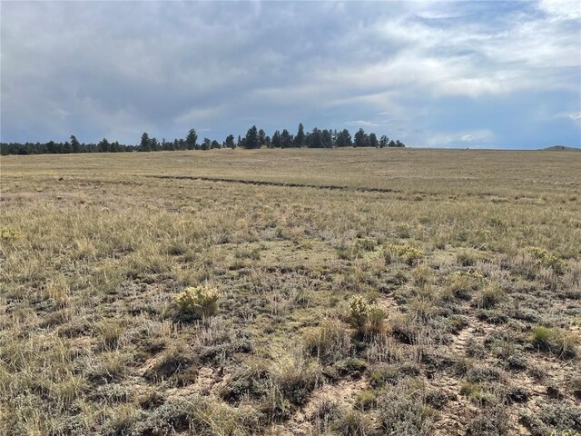 14171 Chickasaw Rd, Hartsel, CO 80449 - photo 11
