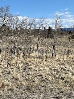 1836 Wampum Ln, Como, CO 80432
