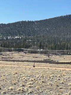 1836 Wampum Ln, Como, CO 80432
