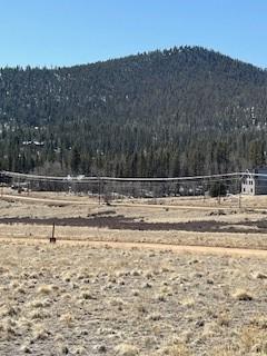 1836 Wampum Ln, Como, CO 80432