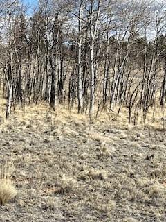 1836 Wampum Ln, Como, CO 80432