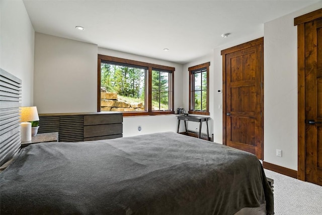455 Highfield Trl, Breckenridge, CO 80424 - bedroom with carpet and recessed lighting
