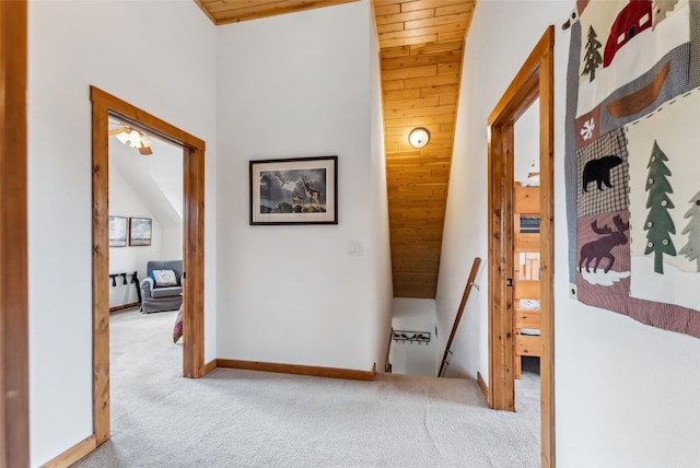 268B Fuller Dr, Fairplay, CO 80440 - photo 27