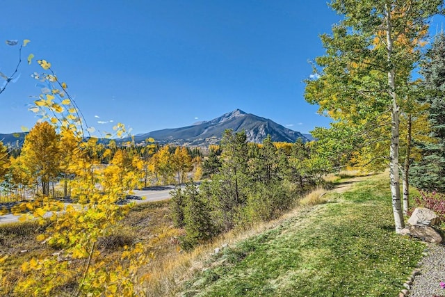 view of mountain feature