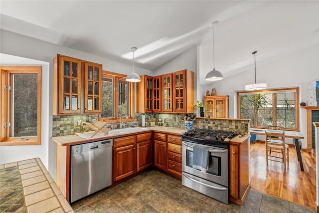 663 Amethyst Dr, Steamboat Springs, CO 80487 - kitchen with stainless steel appliances, a sink, vaulted ceiling, decorative backsplash, and glass insert cabinets