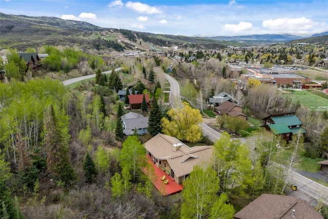 663 Amethyst Dr, Steamboat Springs, CO 80487 - aerial view of residential area with a mountain backdrop