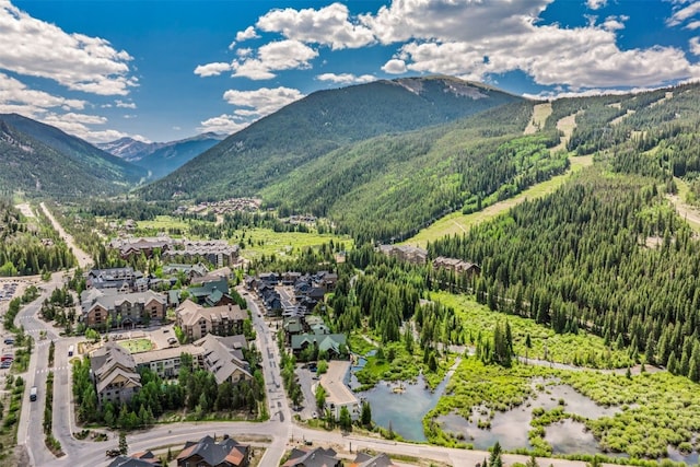 135 Dercum Dr Unit 8565, Keystone, CO 80435 - photo 27