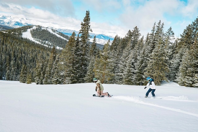 135 Dercum Dr Unit 8565, Keystone, CO 80435 - photo 35