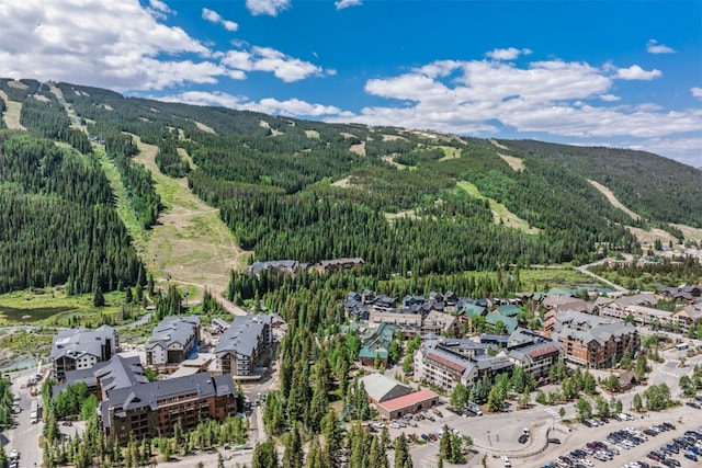 135 Dercum Dr Unit 8565, Keystone, CO 80435 - photo 30