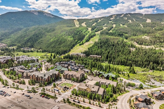 135 Dercum Dr Unit 8565, Keystone, CO 80435 - photo 28