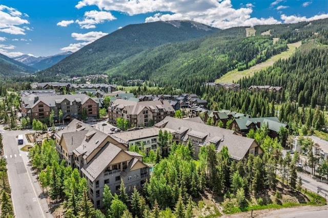 135 Dercum Dr Unit 8565, Keystone, CO 80435 - photo 24