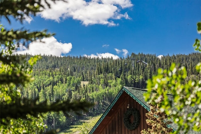 135 Dercum Dr Unit 8565, Keystone, CO 80435 - photo 3