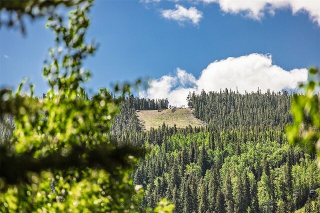 135 Dercum Dr Unit 8565, Keystone, CO 80435 - photo 4