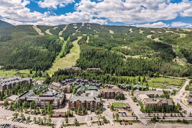 135 Dercum Dr Unit 8565, Keystone, CO 80435 - photo 29