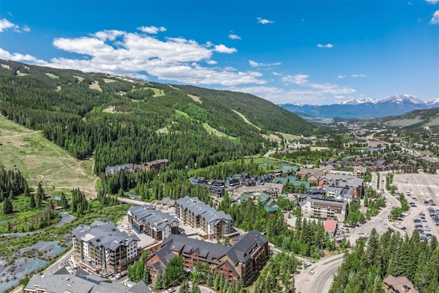 135 Dercum Dr Unit 8565, Keystone, CO 80435 - photo 31