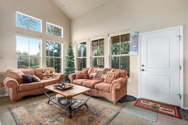 104 Saddle Horn Ct, Granby, CO 80446 - carpeted living area with high vaulted ceiling