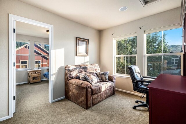 104 Saddle Horn Ct, Granby, CO 80446 - office space with carpet floors, a healthy amount of sunlight, and baseboards