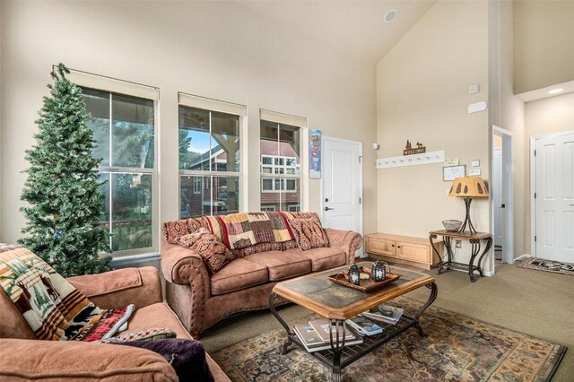 104 Saddle Horn Ct, Granby, CO 80446 - carpeted living room featuring high vaulted ceiling