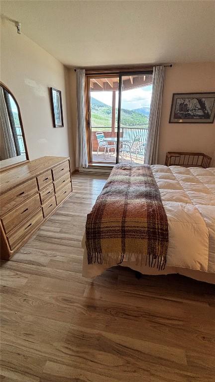 188 E Ln Bonte St Unit 327, Dillon, CO 80435 - bedroom featuring access to outside and wood finished floors
