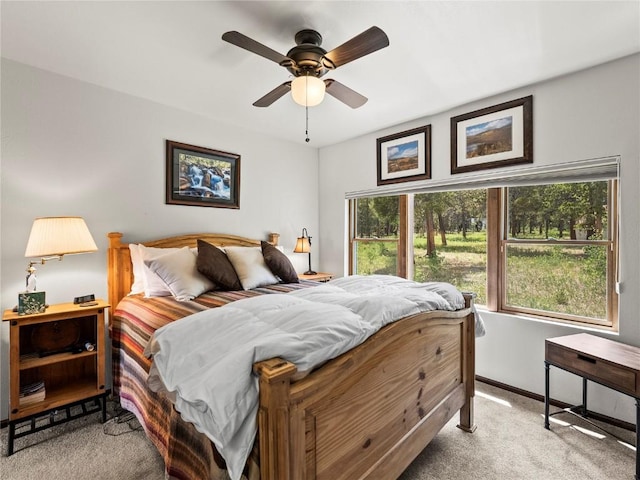 815 Bluestem Way, Fairplay, CO 80440 - photo 12