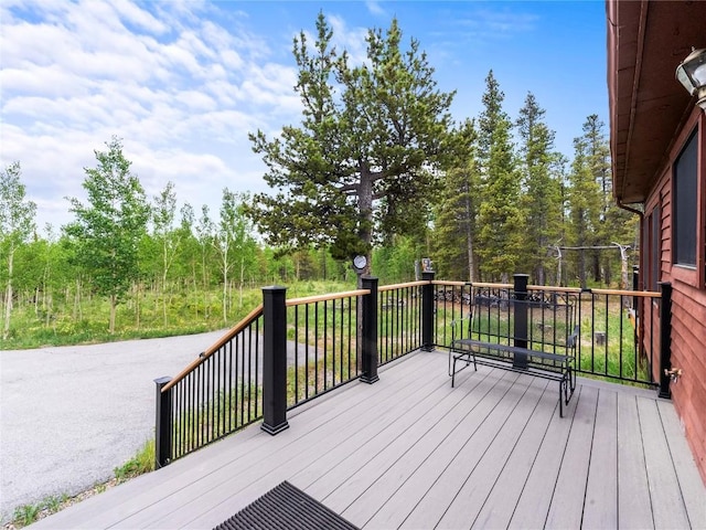 815 Bluestem Way, Fairplay, CO 80440 - photo 21