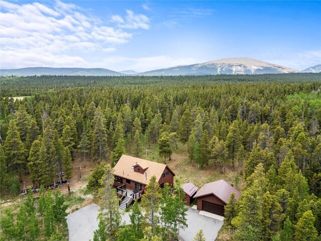 815 Bluestem Way, Fairplay, CO 80440 - photo 17