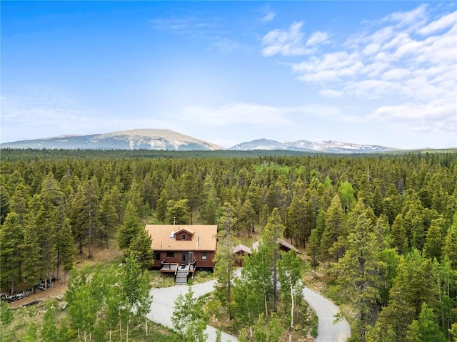 815 Bluestem Way, Fairplay, CO 80440 - photo 16