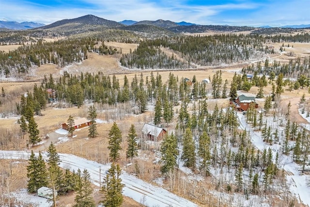 snowy aerial view with a mountain view