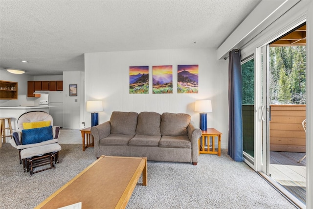 1513 E Keystone Rd Unit 2967, Keystone, CO 80435 - living area featuring light carpet and a textured ceiling