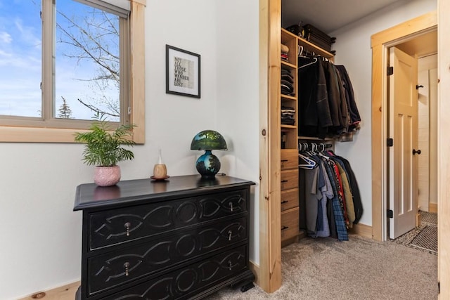 walk in closet with carpet flooring