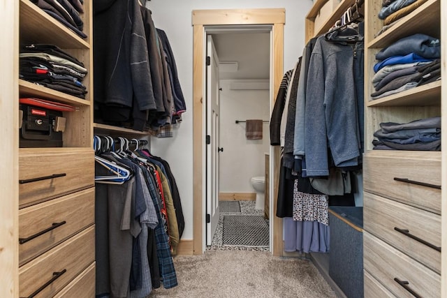 spacious closet with carpet